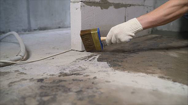 SJ Waterproofing Pros Waterproofing coverage map for Corryton, TN and surrounding area